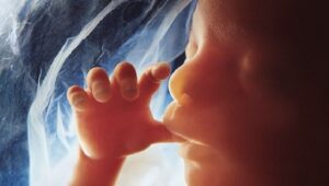  Multa en Francia a un canal católico por asegurar que la principal causa de muerte en el mundo es el aborto, con 73 millones de muertes al año