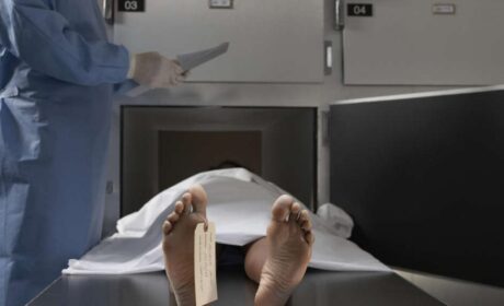 Australia lanza una investigación oficial sobre el creciente exceso de muertes