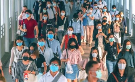Accidentes de laboratorios con gripe aviar: ¿nos preparan para la próxima pandemia?