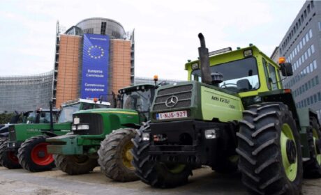 El Parlamento Europeo aprueba la nueva norma ecologista que criminaliza a los agricultores y ganaderos