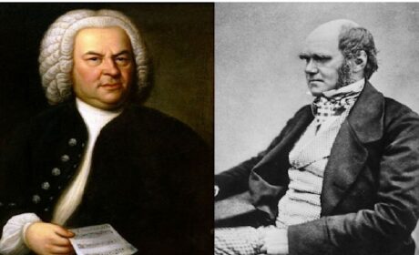 Bach, Darwin y la cuestión de la Creación