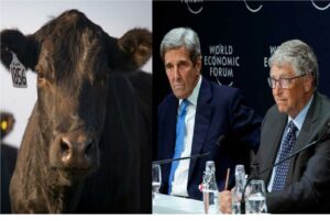 Las vacas NO causan el ‘cambio climático’, confirma un importante estudio