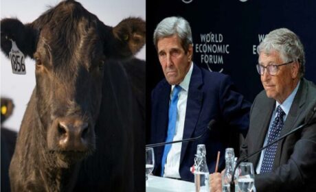 Las vacas NO causan el ‘cambio climático’, confirma un importante estudio