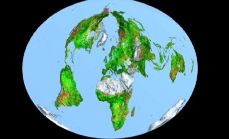 Reverdecimiento global: La verdad que no quieren que sepas